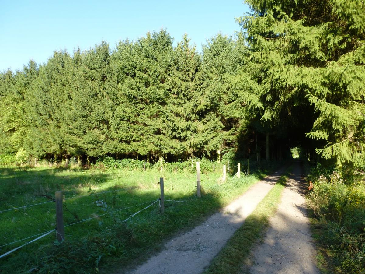 Ares vastgoed & landmeetbureau lille, landbouwgrond perceel ... Slaapkamers sparren